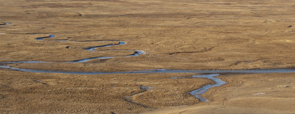 Монгол Дагуур